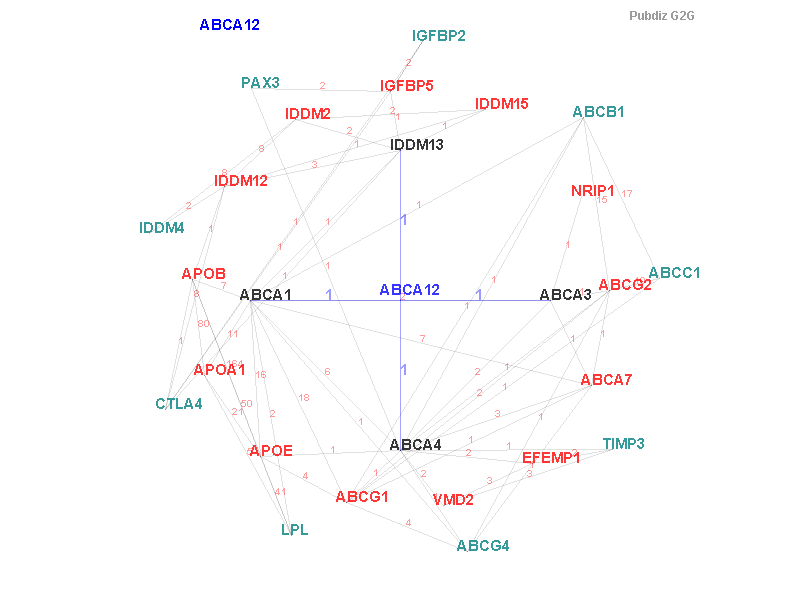 Gene ABCA12 gene interaction