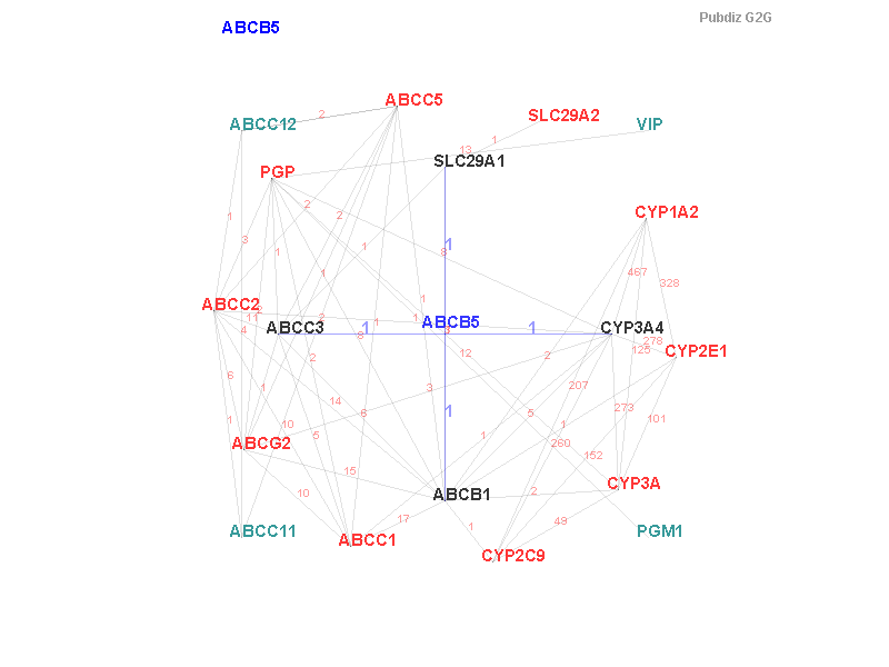 Gene ABCB5 gene interaction