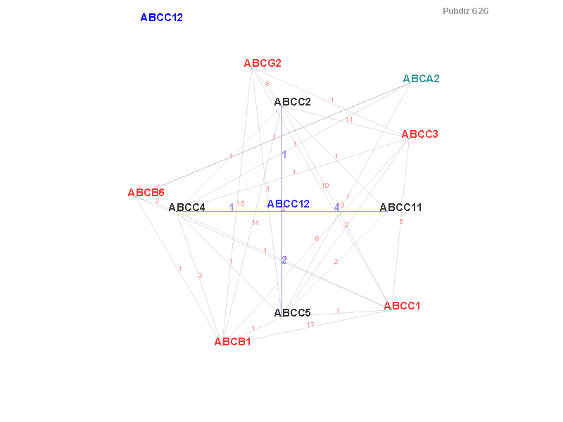 Gene ABCC12 gene interaction