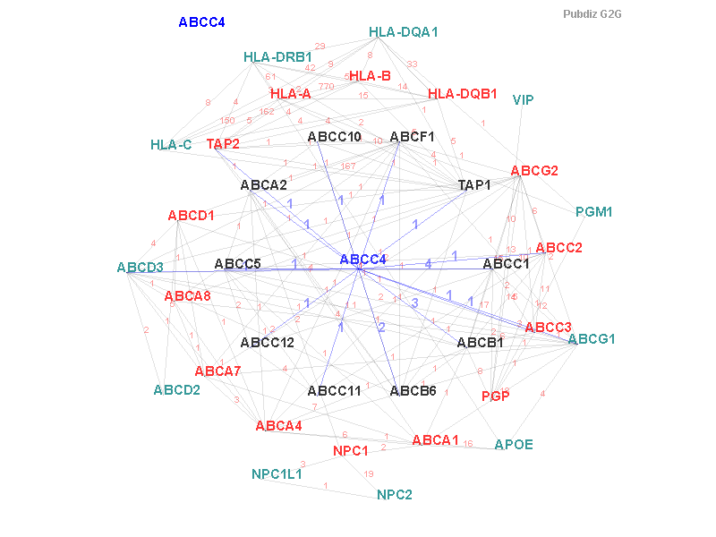 Gene ABCC4 gene interaction