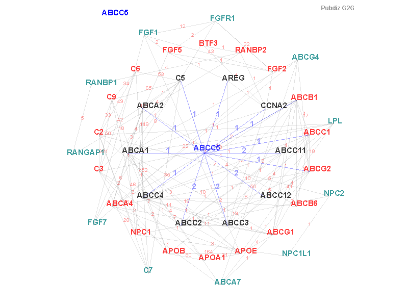 Gene ABCC5 gene interaction