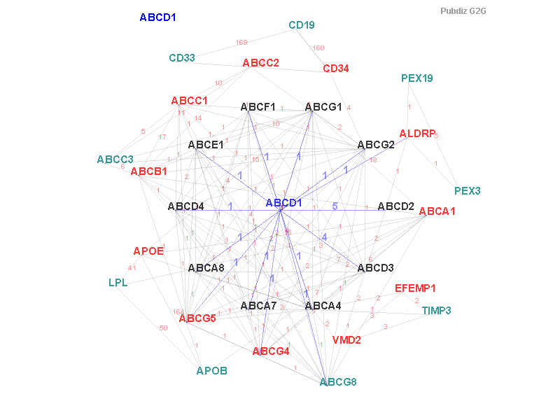 Gene ABCD1 gene interaction