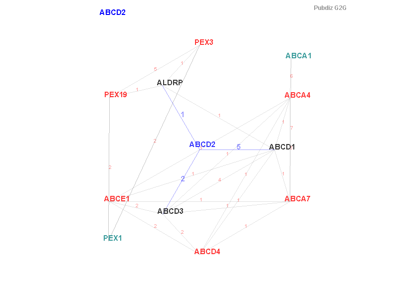Gene ABCD2 gene interaction