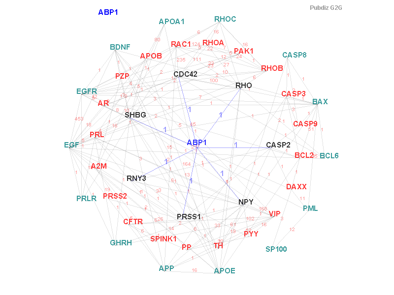 Gene ABP1 gene interaction