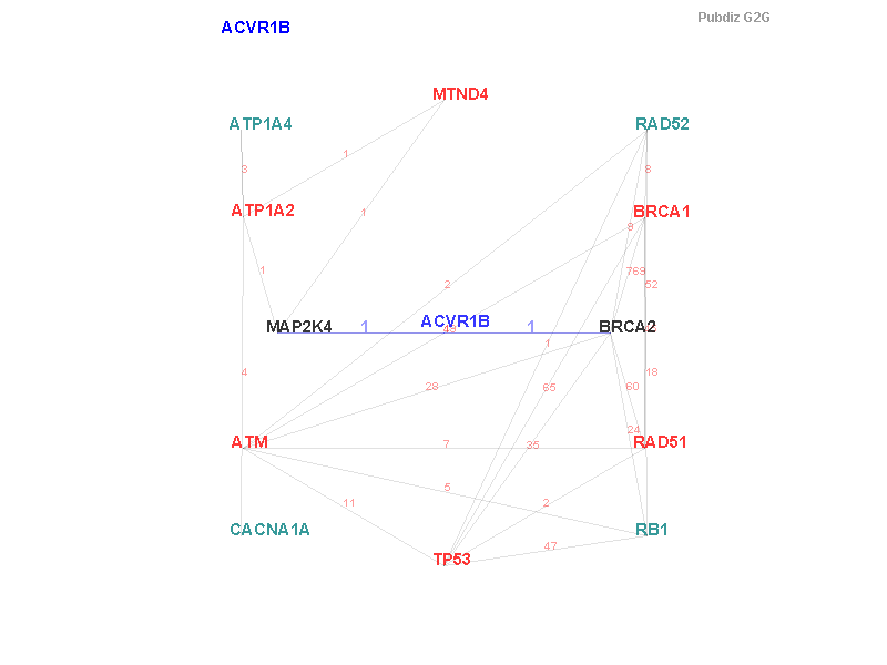 Gene ACVR1B gene interaction