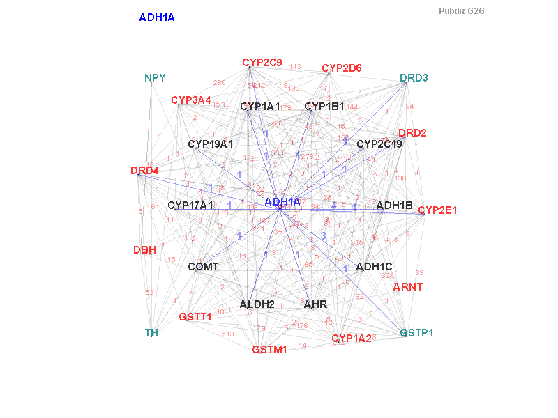Gene ADH1A gene interaction