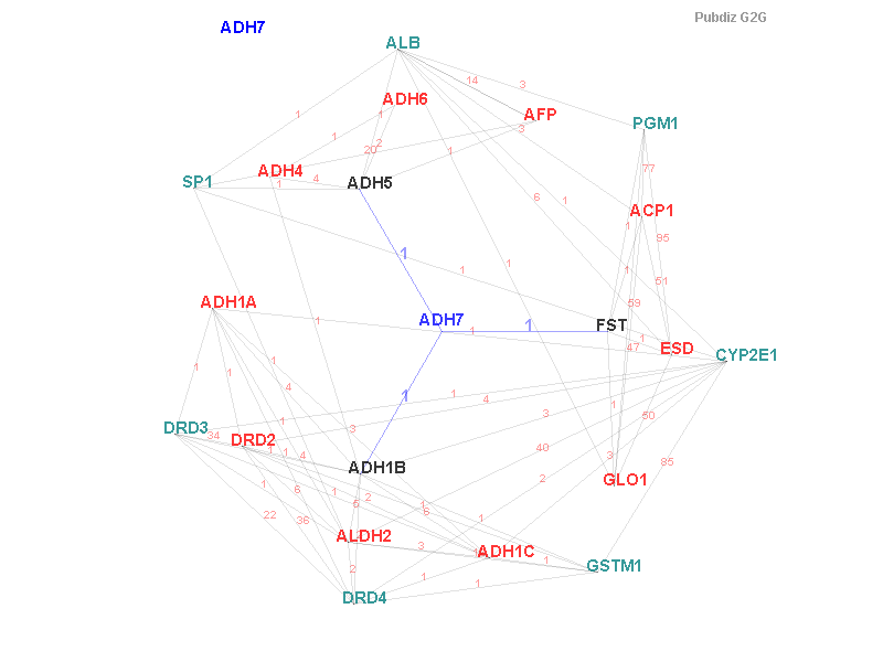 Gene ADH7 gene interaction