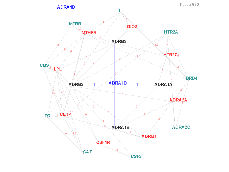 Gene ADRA1D gene interaction