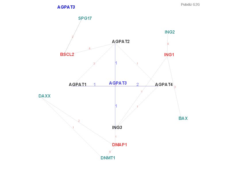 Gene AGPAT3 gene interaction