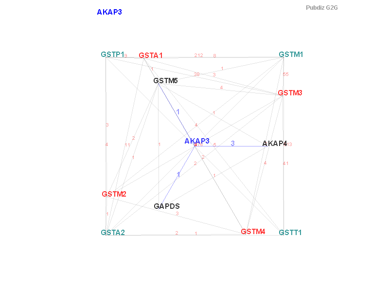 Gene AKAP3 gene interaction