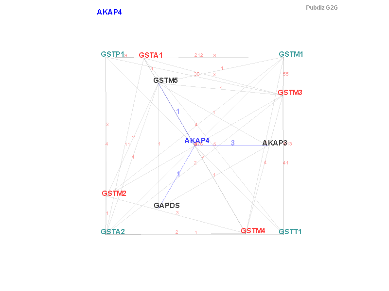 Gene AKAP4 gene interaction