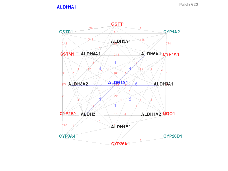 Gene ALDH1A1 gene interaction