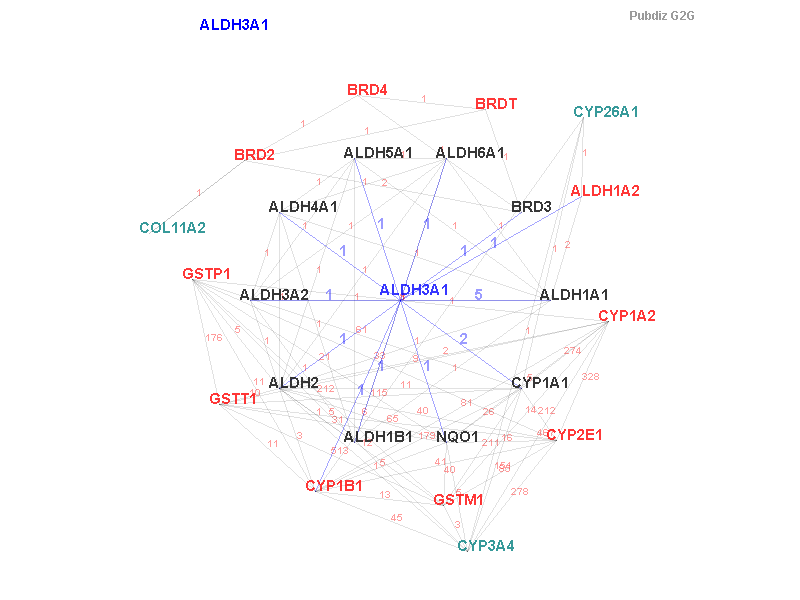 Gene ALDH3A1 gene interaction