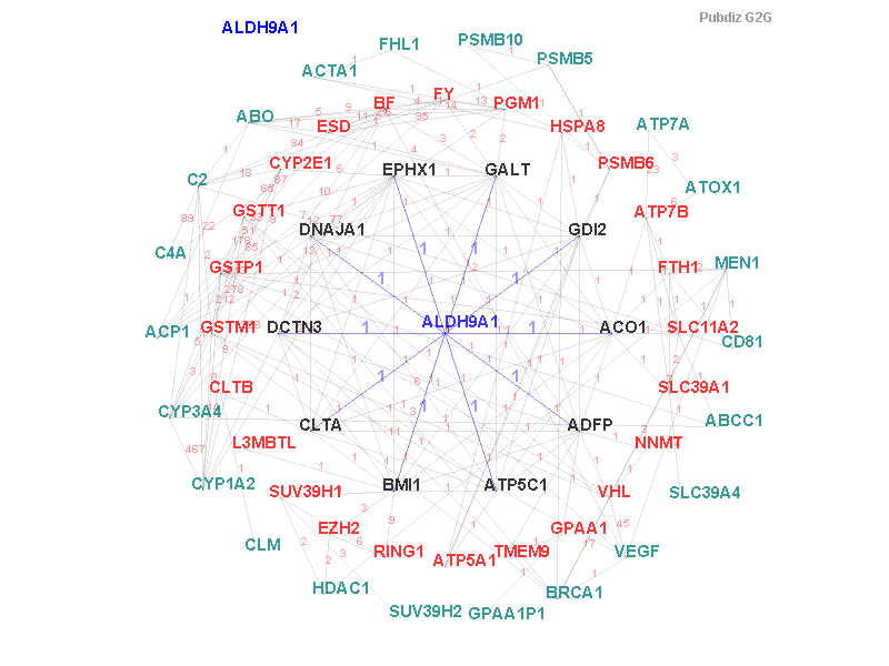 Gene ALDH9A1 gene interaction