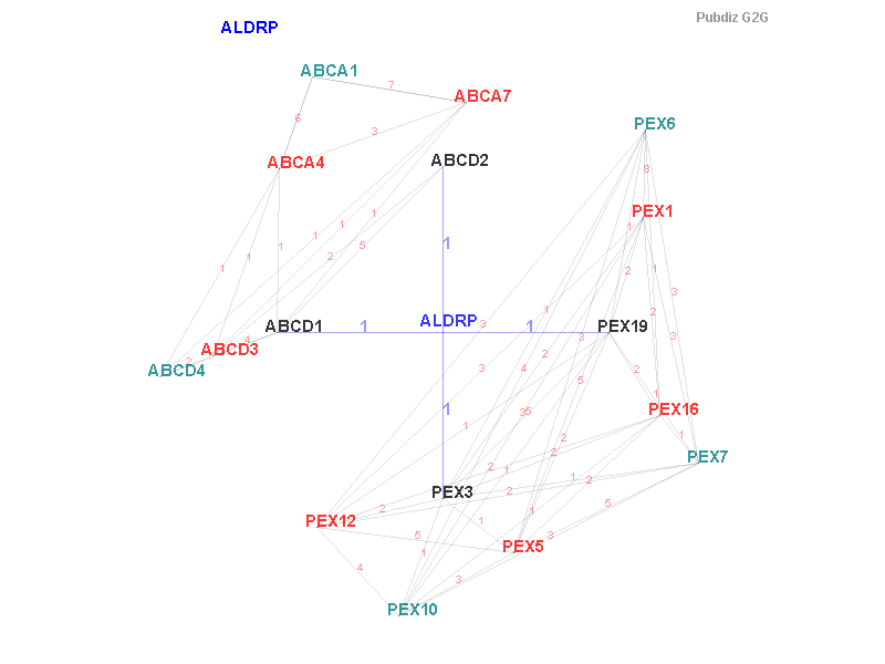 Gene ALDRP gene interaction
