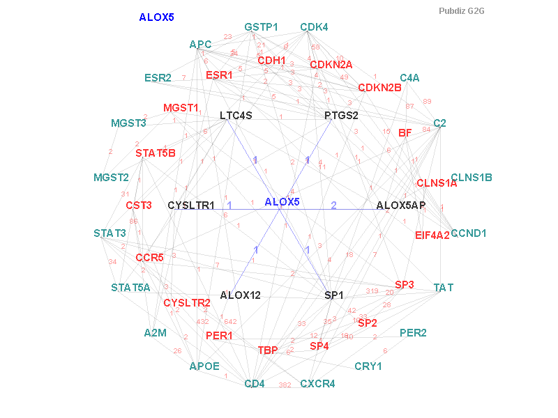 Gene ALOX5 gene interaction