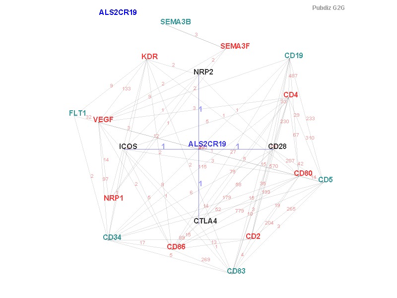Gene ALS2CR19 gene interaction