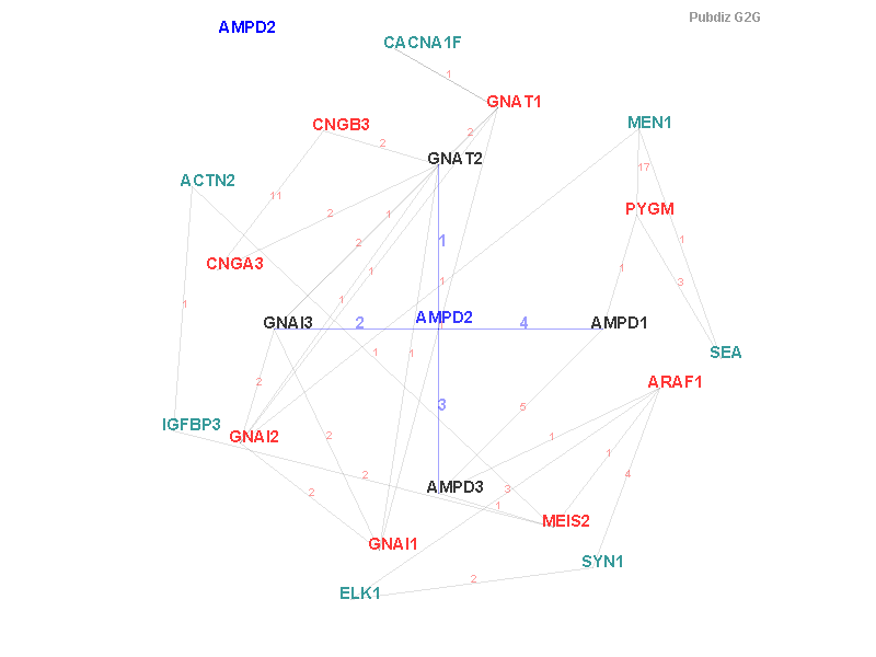 Gene AMPD2 gene interaction