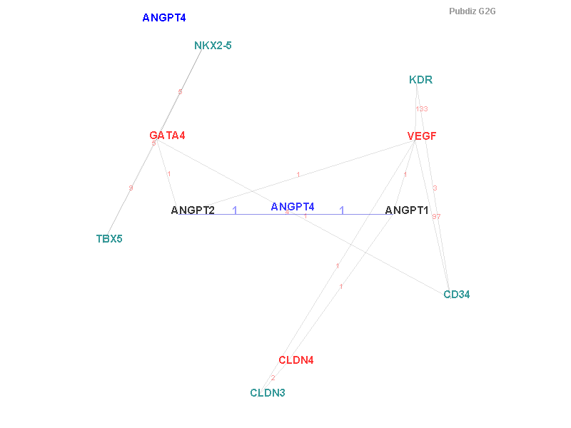Gene ANGPT4 gene interaction