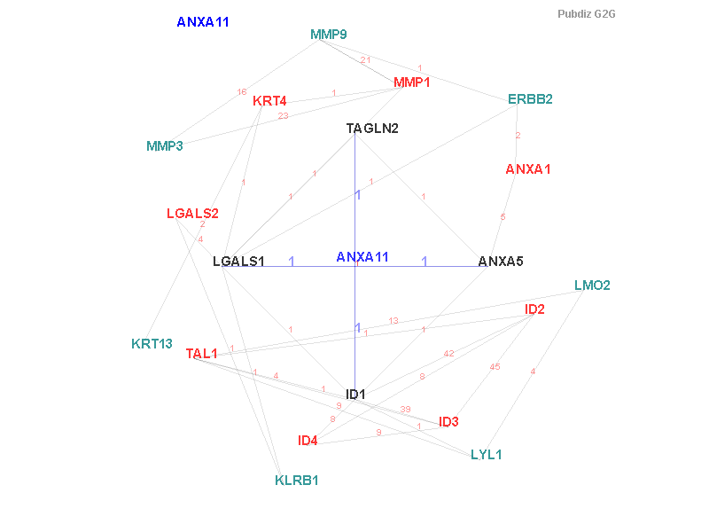 Gene ANXA11 gene interaction