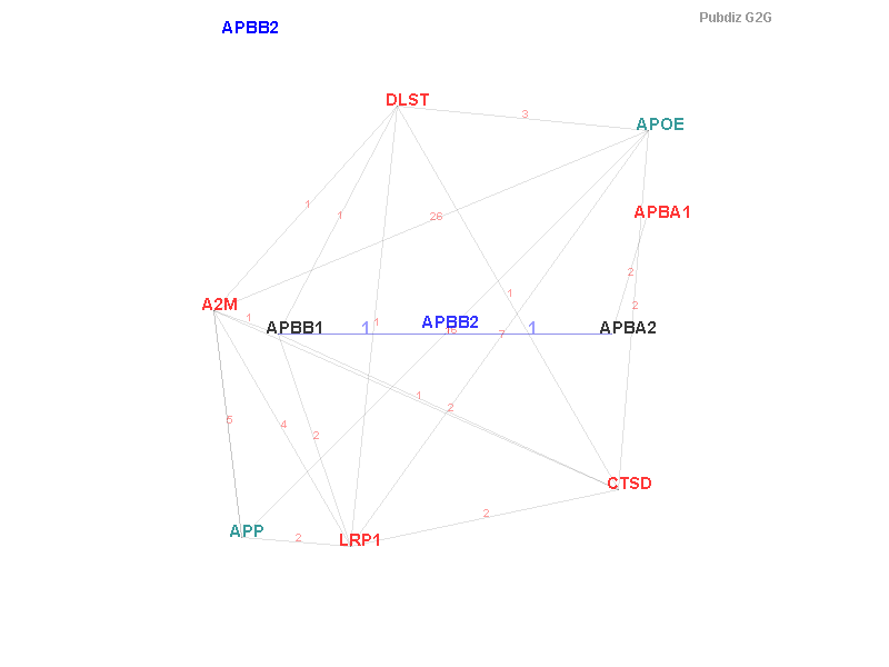 Gene APBB2 gene interaction