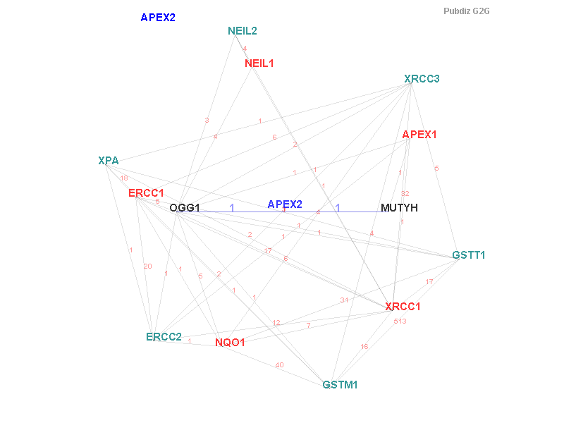 Gene APEX2 gene interaction