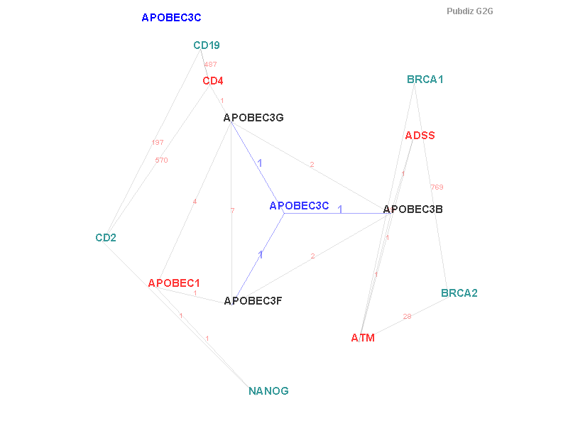 Gene APOBEC3C gene interaction