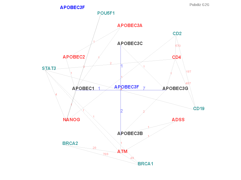 Gene APOBEC3F gene interaction