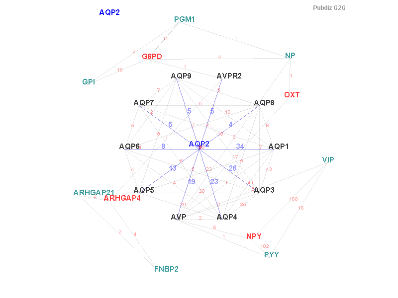 Gene AQP2 gene interaction