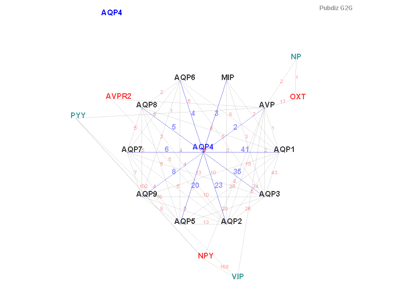 Gene AQP4 gene interaction