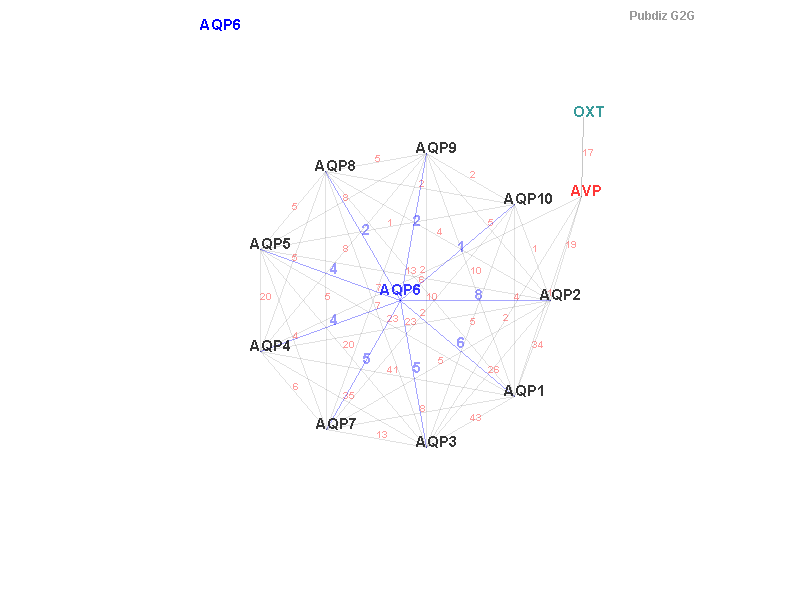 Gene AQP6 gene interaction