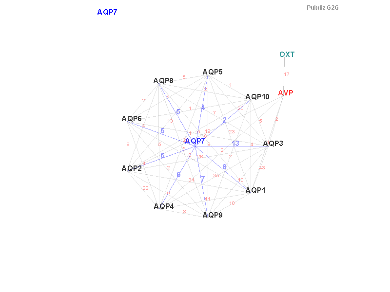 Gene AQP7 gene interaction