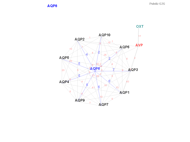 Gene AQP8 gene interaction
