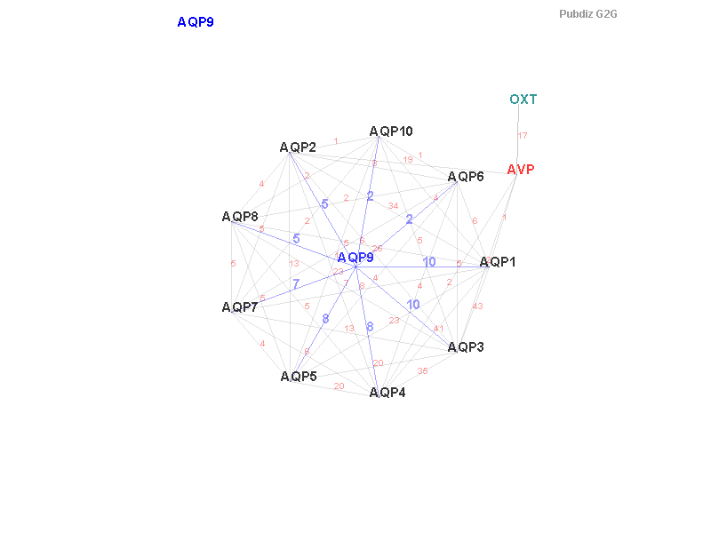 Gene AQP9 gene interaction