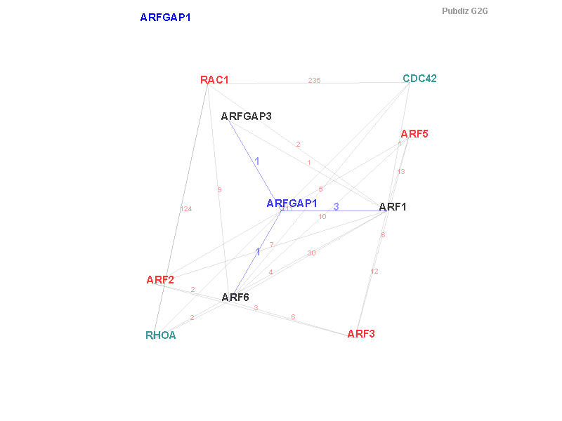 Gene ARFGAP1 gene interaction