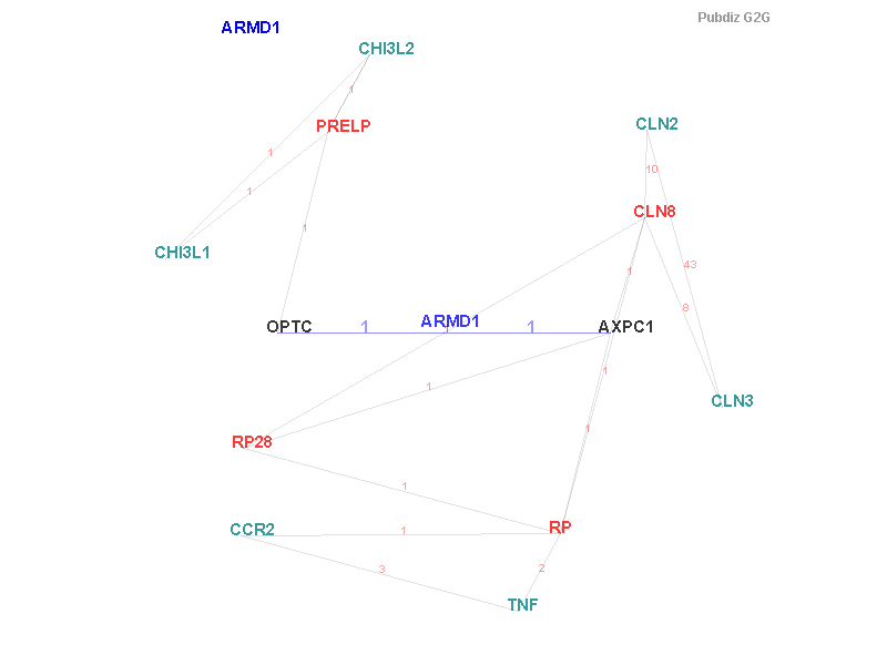 Gene ARMD1 gene interaction