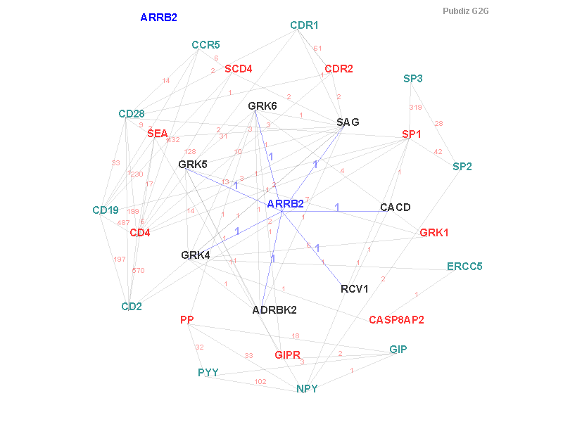 Gene ARRB2 gene interaction
