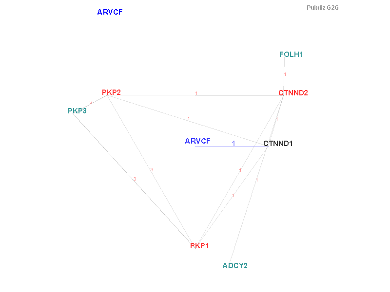 Gene ARVCF gene interaction