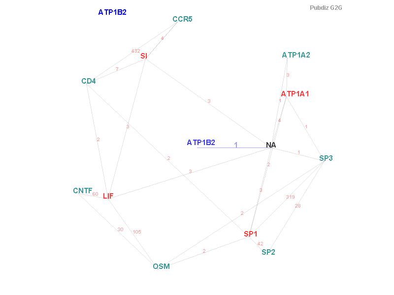 Gene ATP1B2 gene interaction