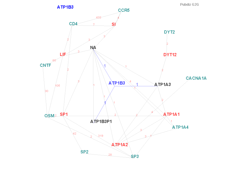 Gene ATP1B3 gene interaction