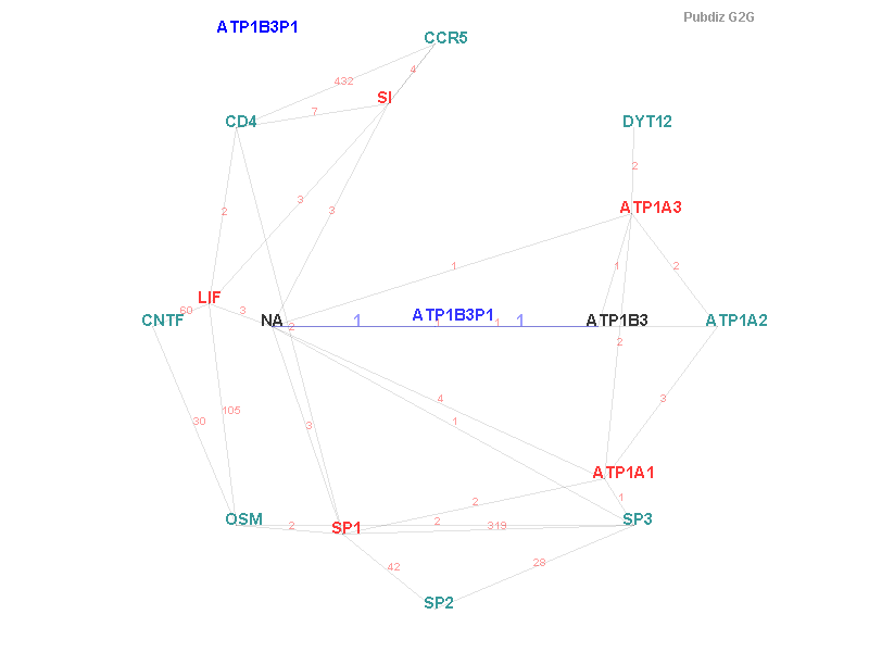 Gene ATP1B3P1 gene interaction