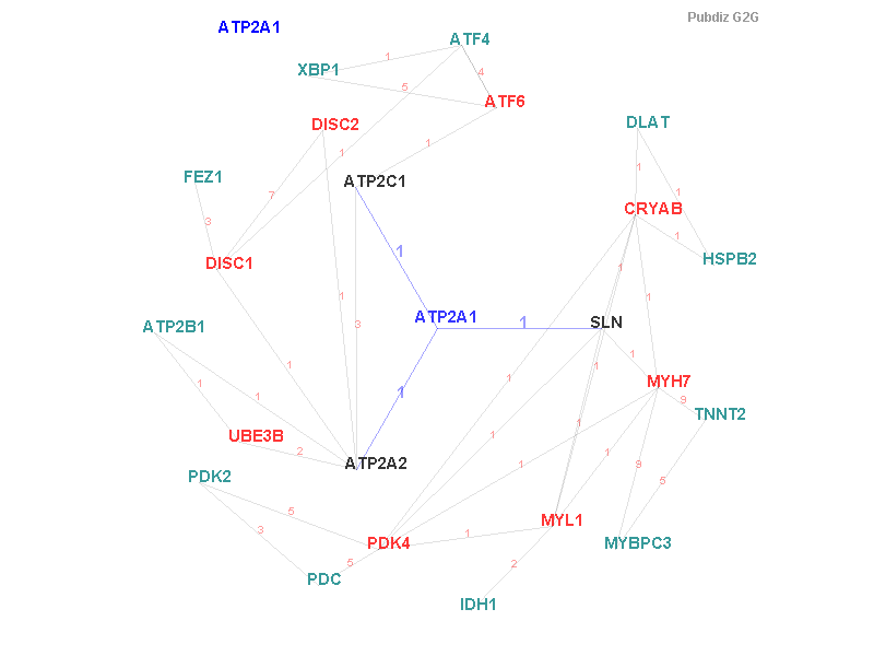 Gene ATP2A1 gene interaction