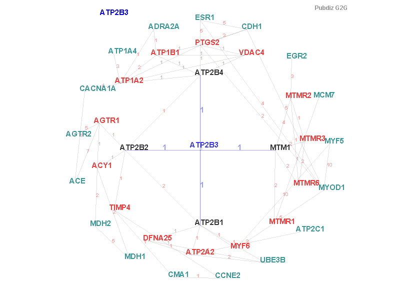 Gene ATP2B3 gene interaction