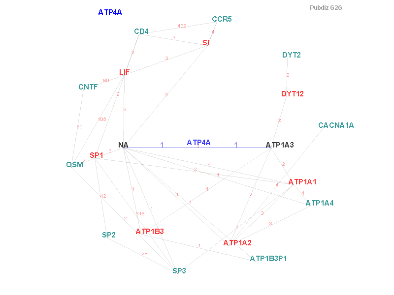 Gene ATP4A gene interaction