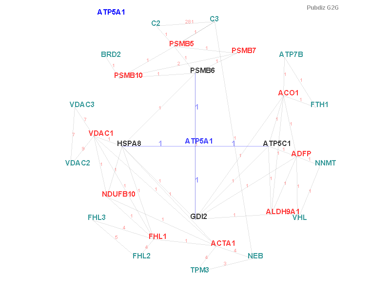 Gene ATP5A1 gene interaction