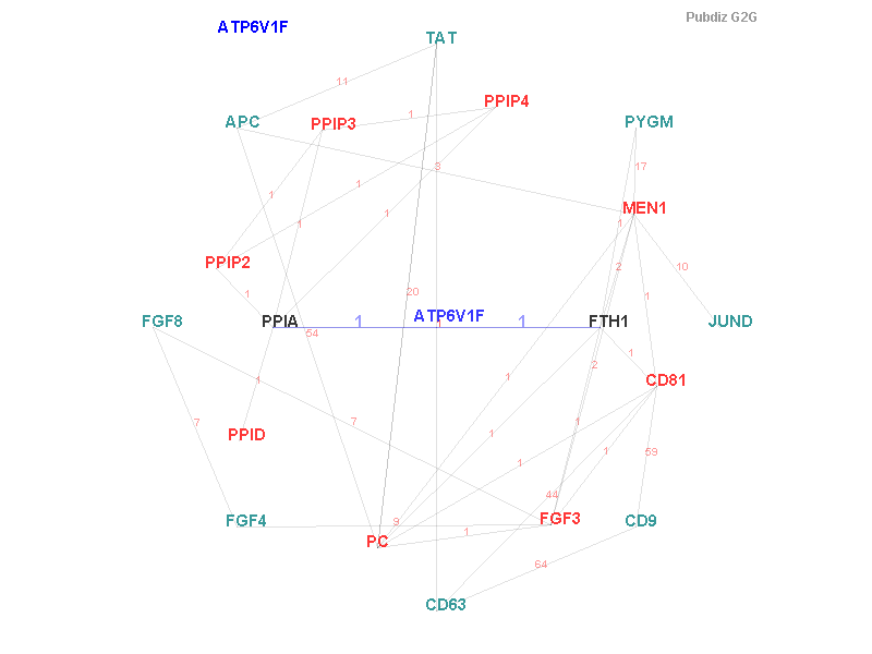 Gene ATP6V1F gene interaction