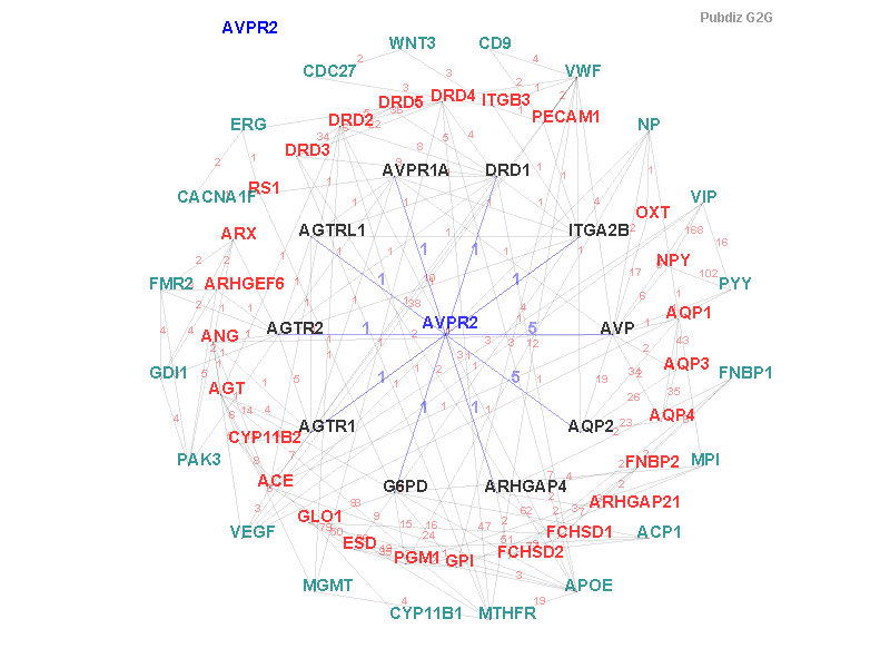 Gene AVPR2 gene interaction